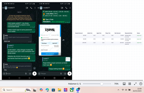Screenshot 2025 03 26 220906.png