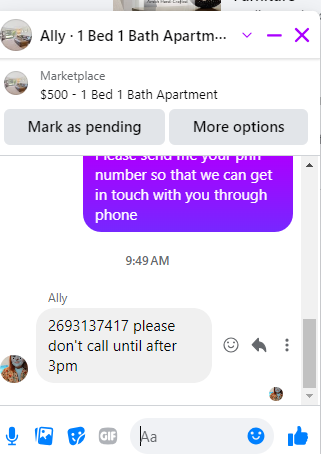 Ally.png