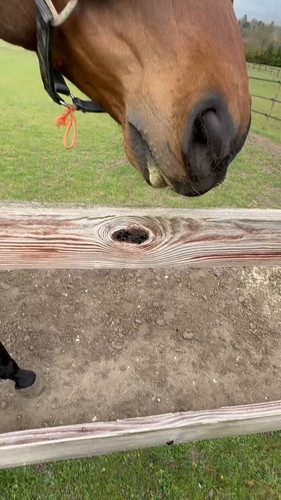 LWySOK6 0os7vNGh.jpg