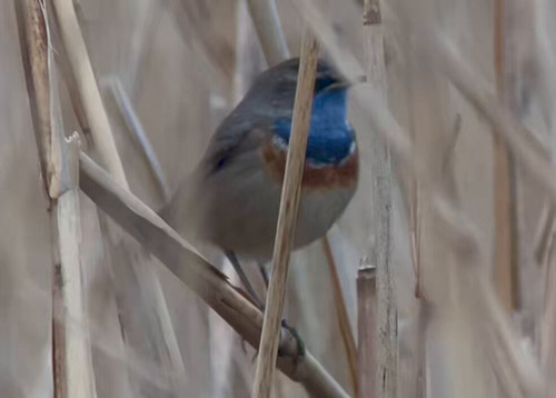 wxvAIKyQtN4 kIhn.jpg