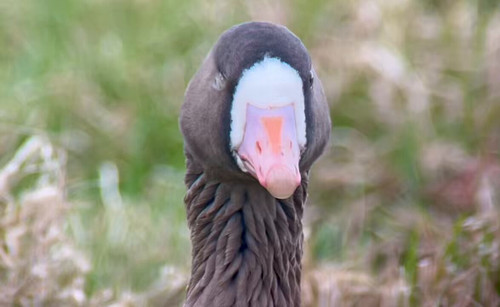 09R AkixxFaKlfJy.jpg