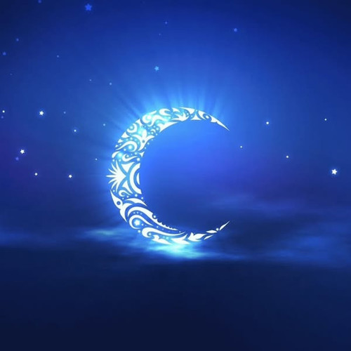 486862628 1123077793165662 5834656359688246996 n.jpg?stp=dst jpg s600x600 tt6& nc cat=111&ccb=1 7& n.jpg