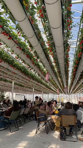 3a YlrnrfZujJXS .jpg