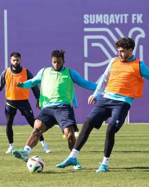 486114264 1218250143634535 8674884297122213159 n.jpg?stp=dst jpg s600x600 tt6& nc cat=106&ccb=1 7& n.jpg