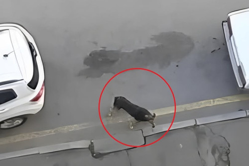 486103528 678809691469833 2993807343769358420 n.jpg?stp=dst jpg p180x540 tt6& nc cat=104&ccb=1 7& nc.jpg