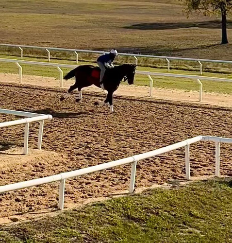 d5foButfB sR5oyn.jpg