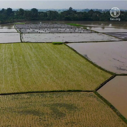 t Uq1HD5A08xn9DI.jpg