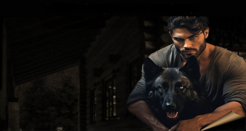 tolga tema.png