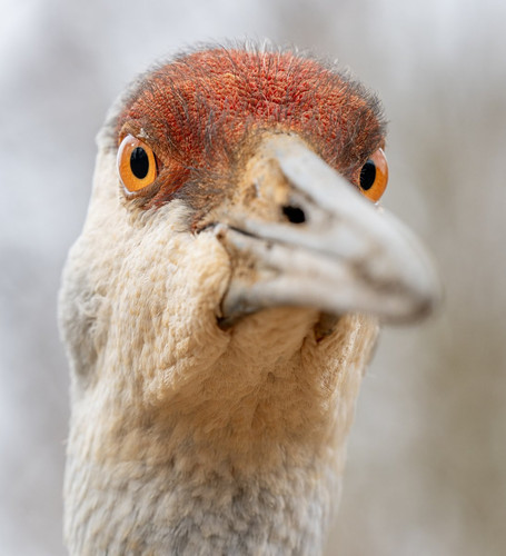 Gm6gAxTXAAAZg4s.jpg