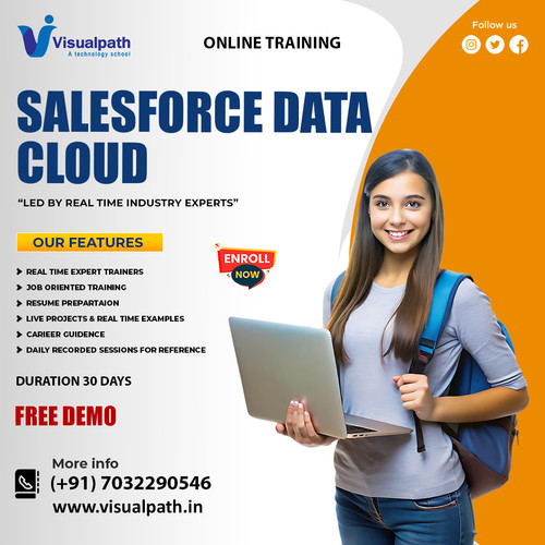 Salesforce Data Cloud Online Training - Salesforce Data Cloud Course.jpg