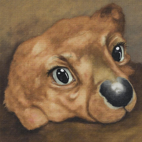 9189199325659514983324652993181.jpg