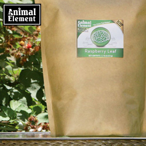 Support Equine Health with Raspberry Leaf for Horses.jpg