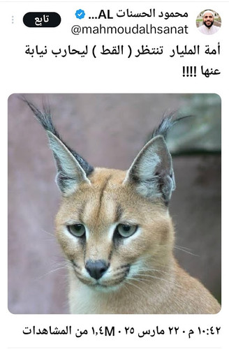 GmwWxA7XsAAwYif.jpg