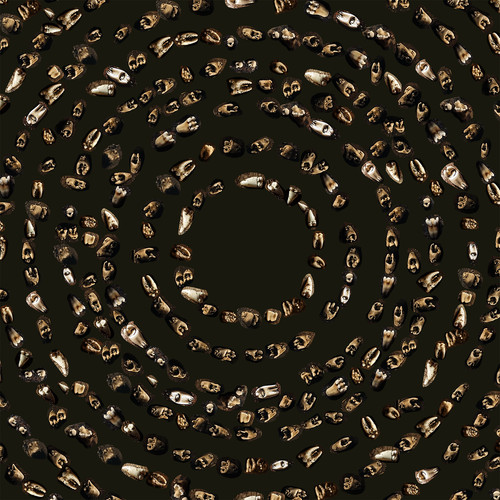 Teeth Rows Reference.jpg