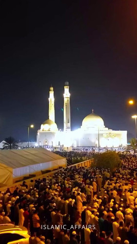 bY1HzS6m 6VX Ip .jpg