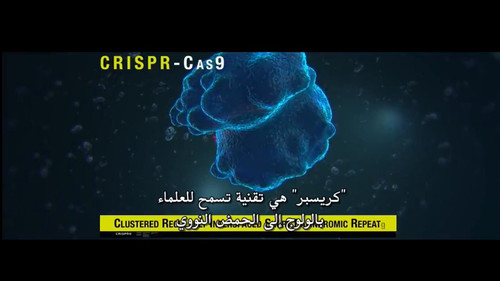 50 bSLGl9XtL0vR8.jpg