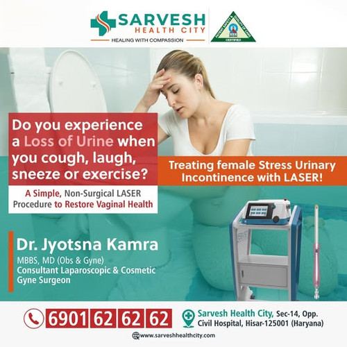 Best Gynecologist in Hisar.jpg