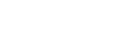 SSOAR.png