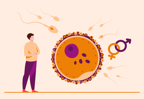Dr. Mazen IVF: Comprehensive Male Fertility Testing.png