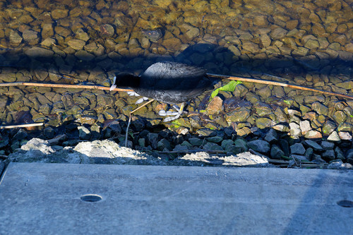 DSC 0030 DxO.jpg