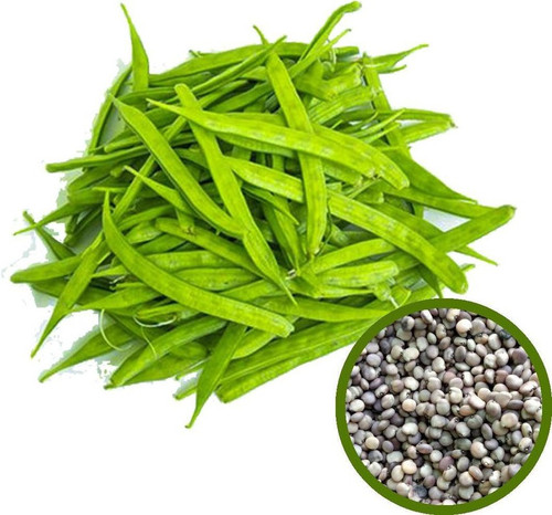 50 cluster beans seeds with free.jpg