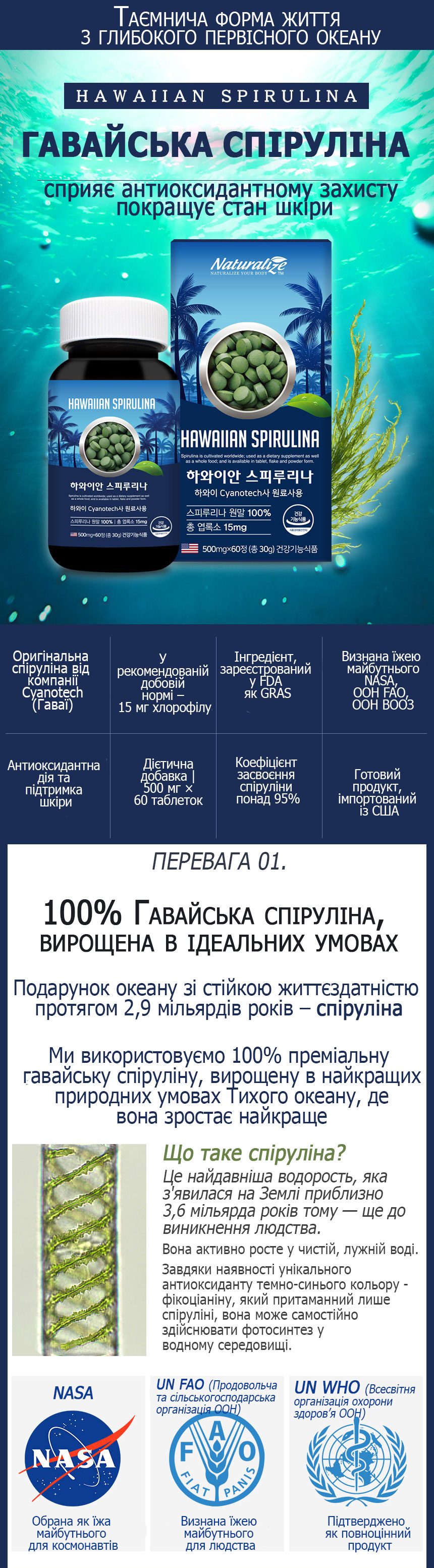 1 копия