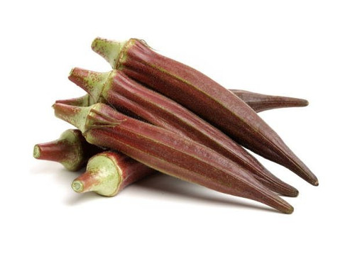 istockphoto 1203522289 612x612 1.jpg