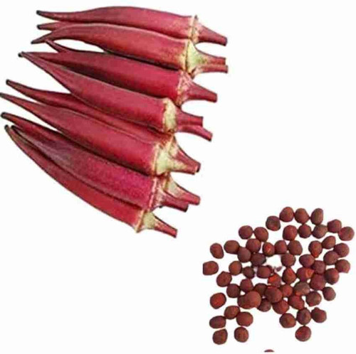 28 3lady finger seeds bdsresolve.jpg