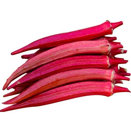 Okrabhindiscarletred 1 500x.jpg