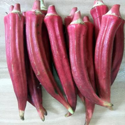 bhindi1 6139d10fe9e58.jpg