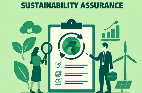 What Is Sustainability Assurance A Complete Guide for Businesses.png