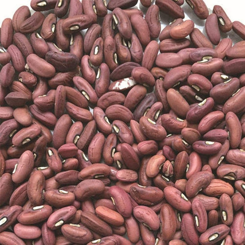 500 organic green long bean seed.jpg