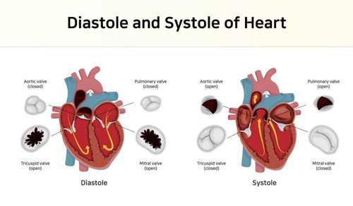 bloodpressure2504.jpg