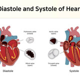 bloodpressure2504