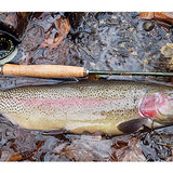 A Top advantages of fly fishing closeouts