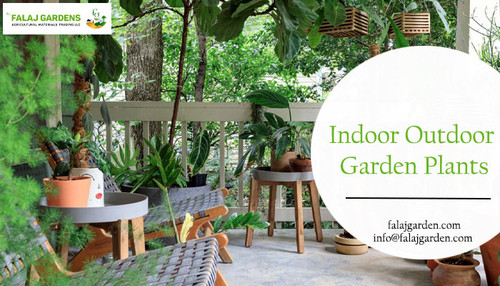 Indoor outdoor garden plants-Falaj Garden.jpg