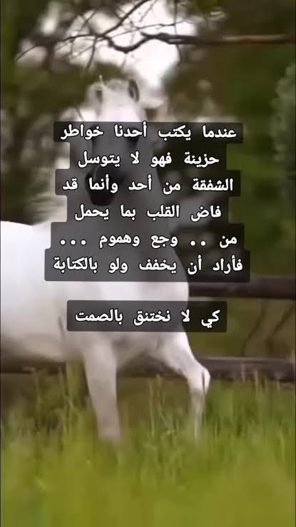 3VtV7qu.jpg