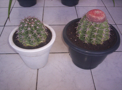 a3d07ee7aef03387d1afe80e09b68337c884d74d.jpg