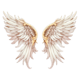 pngtree angel wings png illustration png image 10208457