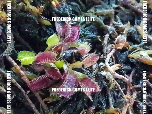 9d309fbfd01d36c45d71896e89489b73df2efb88.jpg