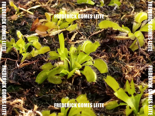 4448c7815da4654494d51a477fb141080fb3d0f0.jpg