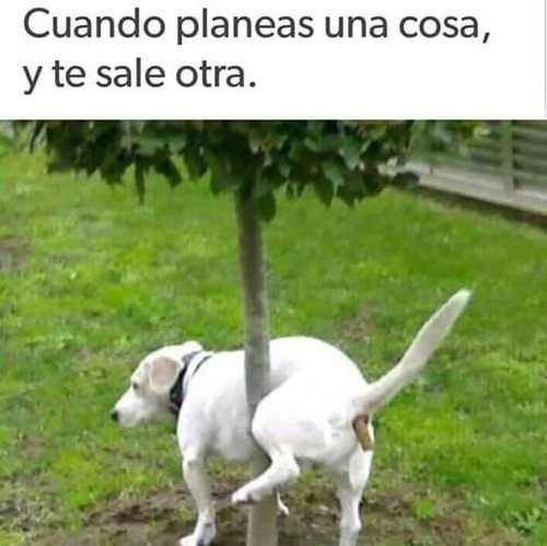 493225380 4000204293630558 9002677041550591194 n.jpg