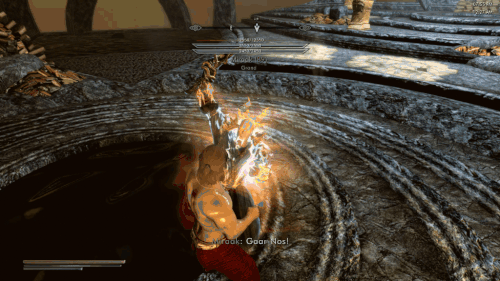 The Elder Scrolls V Skyrim Special Edition 2025.04.27 00.26.43.01 002.gif