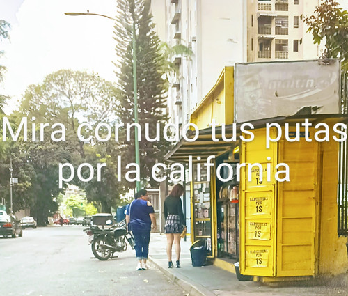 7ade5d3f f67a 4c34 9860 386abf00193b 1 all 5567.jpg