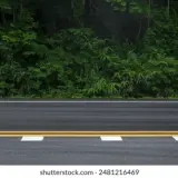 asphalt road side view forests 260nw 2481216469