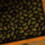 seeds 1