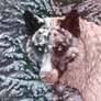 Red Filter Icon.png