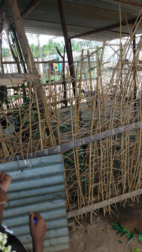 IMG 20190826 WA0040.jpg