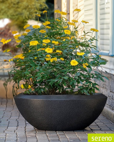 Bring Vibrancy to Your Gardens with Outdoor Flower Pots.jpg