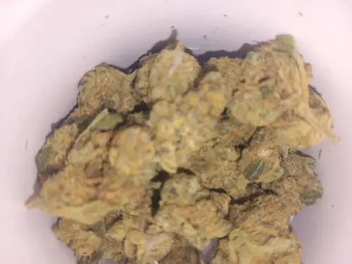 20250408 110841.webp